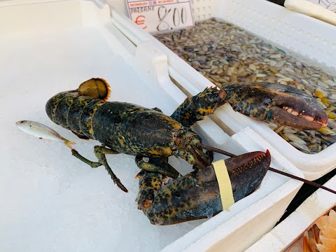 Pescheria Golfo di Stabia