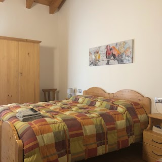 Agriturismo il Podere - Camere e ristorazione