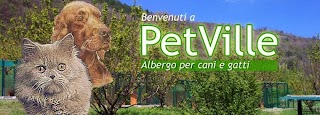 Petville - pensione per cani e gatti