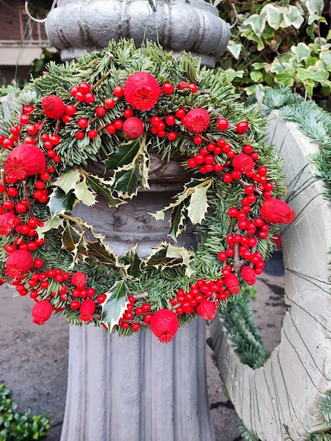 Piante e fiori di Nino - Piazza Santiago del Cile