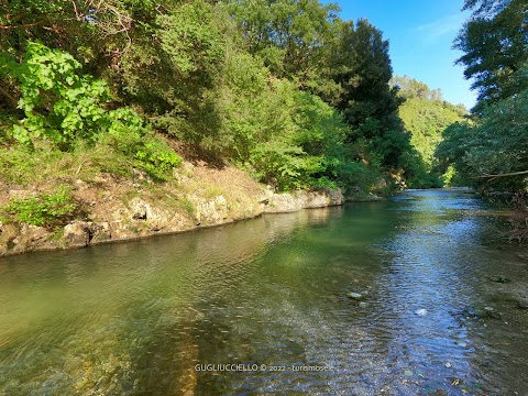 Parco Delle Querce