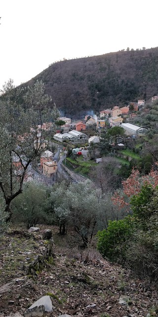 Ricci Sas Di Lorenzo Ricci & C.