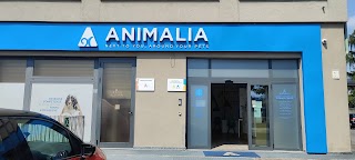 Animalia