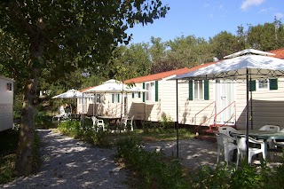 Camping La Chiocciola Bucine