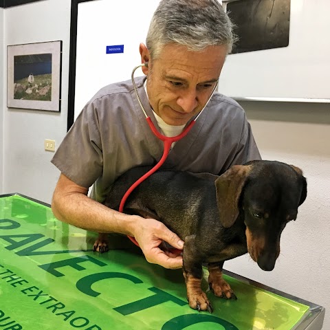 Studio veterinario Santini Clerici Gnocchi