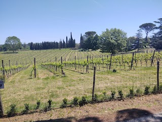 FATTORIA CASABIANCA di Liquori Aldo