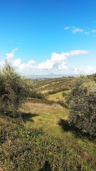 Area Attrezzata Macchia di Gattaceca e Macchia del Barco