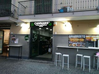 Cannabis Store Amsterdam Venezia