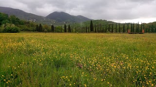 Az. agricola Piano di Casciana