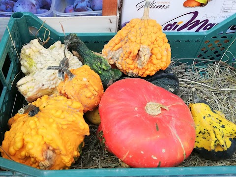 Carmen Frutta e Verdura di Venturoli Monica