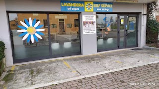 Lavanderia automatica Daisy group