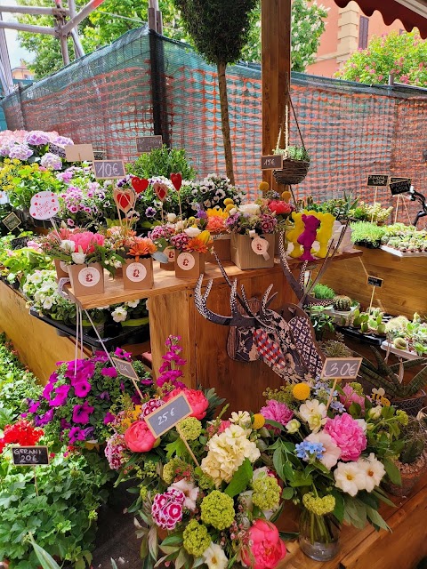 Il Fiore all'occhiello - Fioraio a Bologna