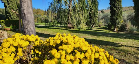 Agriturismo Poggio al Sole