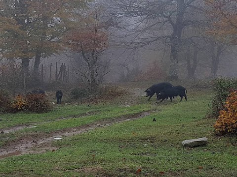 escursioni parco dei nebrodi