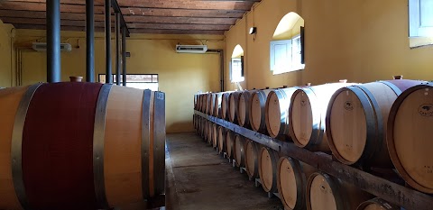 Castiglioni enoteca “La Cantina” e fattoria Frescobaldi