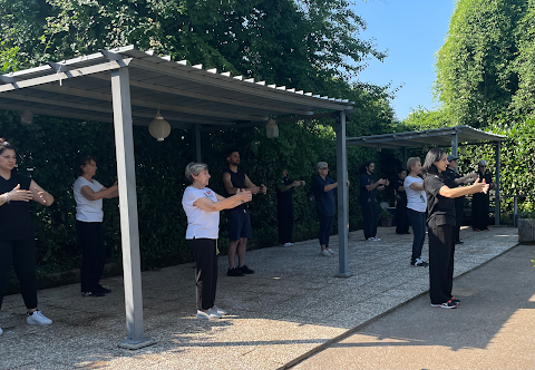 Tai chi chuan Liana Addesse -corso di arti marziali interne- Lezioni Frosinone