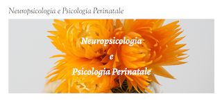 Psicologa Faenza Dr.ssa Letizia Giribaldi | Disturbi Apprendimento e Attenzione |Neuropsicologia e Psicologia Perinatale