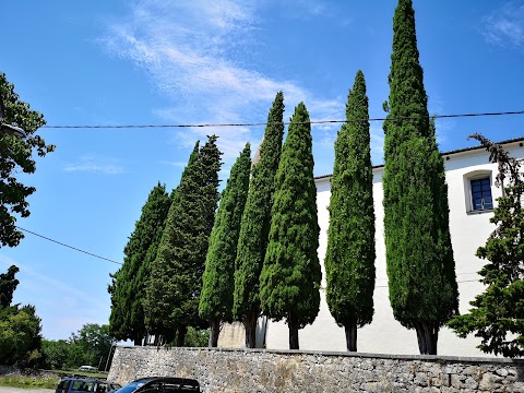 Bar Paradiso, Sergij Colja s.p.