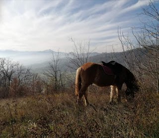 Equitrek dell'Appennino Asd