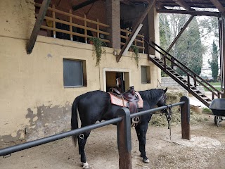 Circolo Ippico Valpolicella