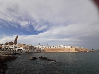 Monopoli