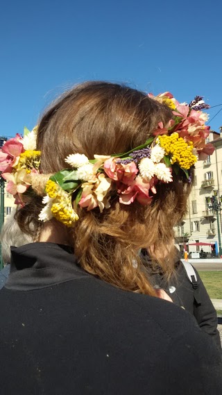 Il Giardino Di Concy... E Non Solo... Di Concetta Carlone