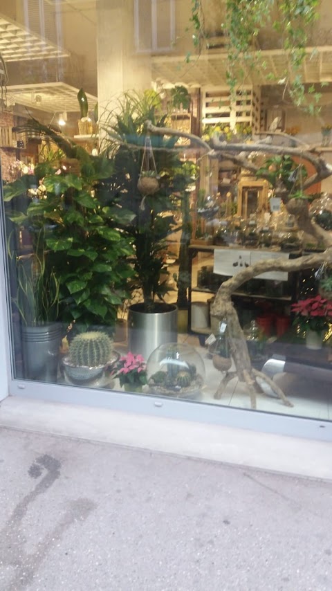 Florius Flowers And Plants Torino