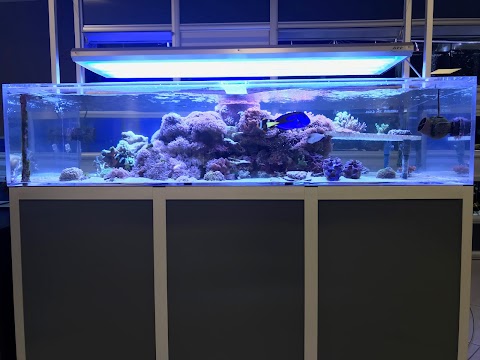 Aquariumstyle
