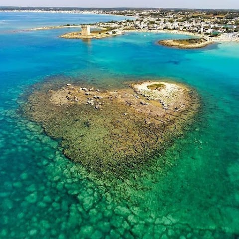 Area naturale marina protetta Porto Cesareo