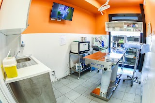 San Pio - Clinica Veterinaria