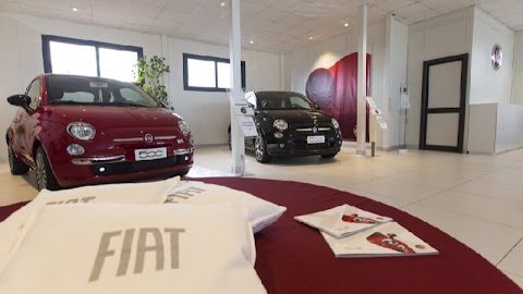 Ladiauto - Organizzato Fiat - Ladispoli