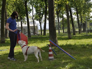 Dr. Elena Borrione veterinario comportamentalista Torino e provincia