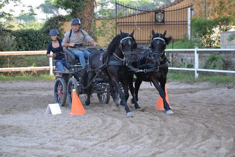 Federazione Nazionale Turismo Equestre