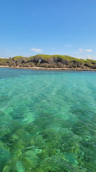 Escursioni in catamarano Salento d'amare