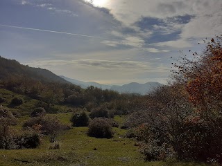 Monte Alpesisa