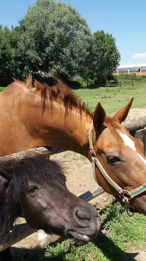 Agriturismo I Camini