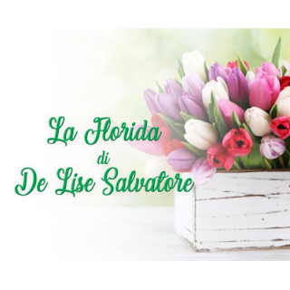 La florida di De Lise Salvatore