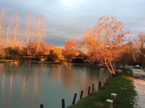 Parco dei Cigni