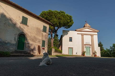 Centro Studi Nuovarmonia