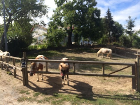 V-Ranch Centro Turismo Equestre