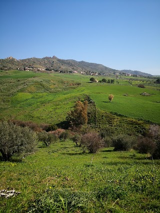 Torrente Tina Del Drago