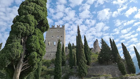 Aunic S.N.C. Di Cappelli Aurelia & C.