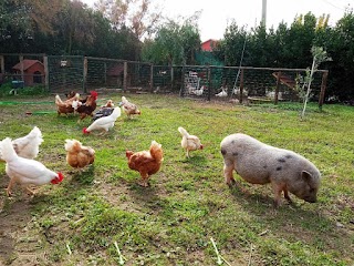 Il Giardino dei Nonni