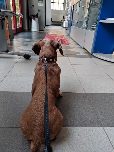 Ospedale Veterinario Città di Pavia