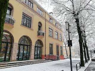 Asilo nido Fondazione Marzotto "L'albero delle Meraviglie"