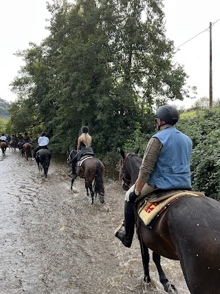 ASD PIERANTOZZI HORSES