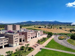 Università degli Studi di Roma "Tor Vergata"