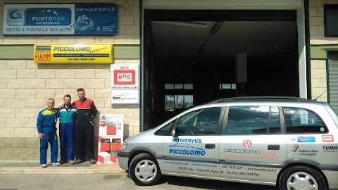 Autofficina Piccolomo Autoservice