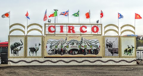 CIRCO MILLENNIUM