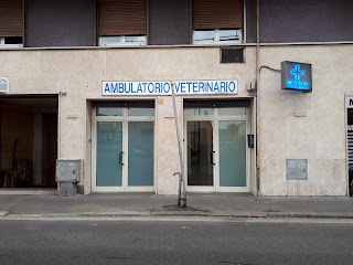 Studio Associato Veterinaria Preneste.